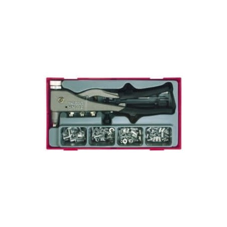 Teng Tools Nietzange für Nietmuttern, 81-teilig (TTNR81)