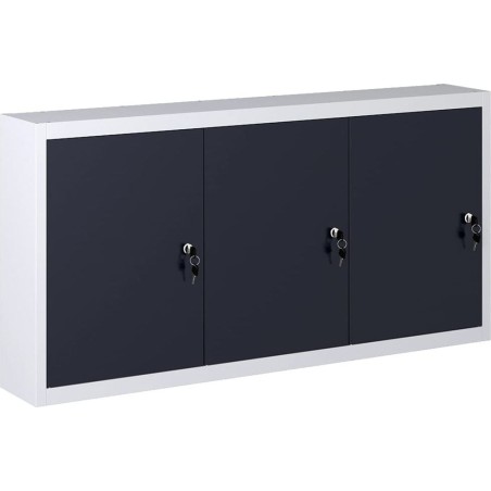 vidaXL Wandschrank aus Metall für Werkzeuge, grau-schwarz