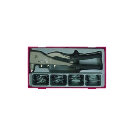 Teng Tools Hebel-Nietzange im Set mit 81 Nieten (TTHR81)