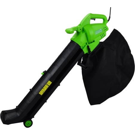 Geko (G81071)