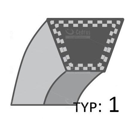 John Deere-Riemen für Fahrantrieb Ltr 155, Ltr 166, Ltr 180 /13X3450/ Dbl-A-M141562