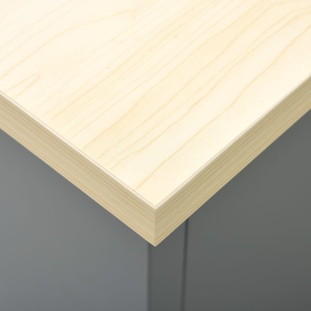 vidaXL Arbeitstisch, schwarz, 160 x 60 x 85 cm, Stahl