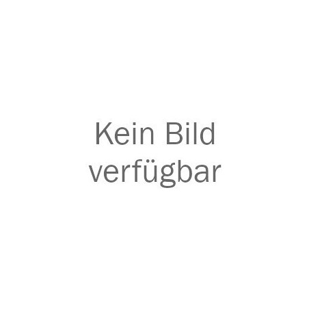 Bohrschrauber Metabo BS 18 LT 18 V